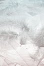 Feathers and tulle Royalty Free Stock Photo