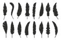 Feathers vector black and white silhouette Royalty Free Stock Photo