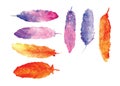 Feathers Water colors Painting Vector