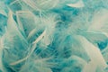 Feathery background