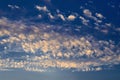 Feathery clouds of various shapes located on the blue sky