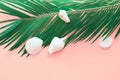 Feathery green palm leaf white sea shells on pink background. Summer tropical nautical creative concept. Poster banner for spa