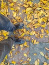 Feats with shoes and yellow leafs on ground Royalty Free Stock Photo