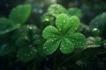 Feature a closeup of a dewcovered clover leaf Royalty Free Stock Photo