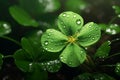 Feature a closeup of a dewcovered clover leaf Royalty Free Stock Photo