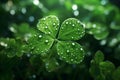 Feature a closeup of a dewcovered clover leaf Royalty Free Stock Photo