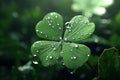 Feature a closeup of a dewcovered clover leaf. Generative ai Royalty Free Stock Photo