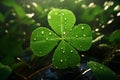 Feature a closeup of a dewkissed shamrock. Generative ai Royalty Free Stock Photo