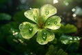 Feature a closeup of a dewkissed shamrock. Generative ai Royalty Free Stock Photo