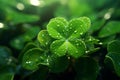 Feature a closeup of a dewkissed shamrock. Generative ai Royalty Free Stock Photo