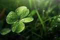 Feature a closeup of morning dew on a clover