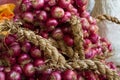 Features of harvesting red onions