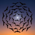 Featuring bats (order Chiroptera) arranged in a spiral pattern Royalty Free Stock Photo