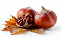 Featuring a ch? description a chestnut fruit with shell and leaf isolated on white background, detailed photo Royalty Free Stock Photo