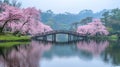 Featuring cherry blossoms and a traditional bridge Royalty Free Stock Photo