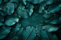 Featuring close up of dark teal leaf texture background, copy space concept, ing. closeup view. minimal abstract banner with Royalty Free Stock Photo