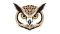 Featuring a front facing owl head with large vivid yellow eyes Royalty Free Stock Photo