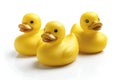Featuring a  yellow rubber ducks isolated on white background, front view, side view and back view Royalty Free Stock Photo