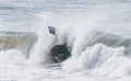 Amazing shot of a professional surfer surfing in the sea with big waves in summer