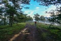 18, Feb. 2017 Dalat- Fog Over The Pine Forest On Sunrise Background and beautyful cloud in Dalat- Lamdong, Vietnam