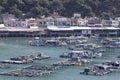 Sok Kwu Wan village on Lamma Island is filled with fish farming rafts to supply fresh seafood to waterfront restaurants.