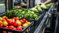 Fresh Produce Preparation: Close-up of Hands Sorting Vegetables in a Commercial Kitchen Royalty Free Stock Photo
