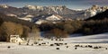 FEB 24, 2019, RIDGWAY, COLORADO USA - Horse Ranch under Cimeron Mountains outside of Ridgway Colorado on State Route 550 Royalty Free Stock Photo