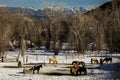 FEB 24, 2019, RIDGWAY, COLORADO USA - Horse Ranch under Cimeron Mountains outside of Ridgway Colorado on State Route 550 Royalty Free Stock Photo