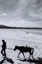 Songkhla, Thailand - Silhouette image of pony horse and its owner walking on famous Samila Beach in summer season