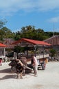 Buffalo cart in Historic Ryukyu village, Taketomi, Okinawa, Japa