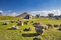 The Etruscan necropolis of Monterozzi Royalty Free Stock Photo