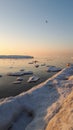 February. On the Baltic coast, the ice is melting