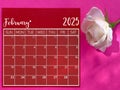 February 2025 calendar background. Stock photo.