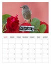 2014 February calendar Royalty Free Stock Photo