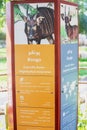 Information stand at the Bongo antelope enclosure at Dubai Zoo Royalty Free Stock Photo