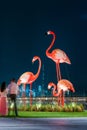 Popular tourist attraction - decorative statues of pink flamingos on the background of the world`s