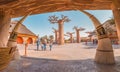 Visitors and tourists with families and children near famous Baobab trees in African Village at