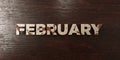 February - grungy wooden headline on Maple - 3D rendered royalty free stock image