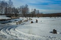 26 February 2017 the Holiday of Maslenitsa in Borodino.