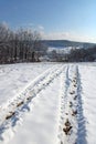 February nature winter scenes of Zagreb`s surroundings, Croatia Royalty Free Stock Photo