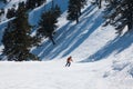 February 2nd 2022 - Grevena, Greece - The gorgeous snowy slopes of Vasilitsa ski resort