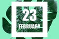 february 23rd. Day 23 of month,Date text in white frame against tropical monstera leaf on green background winter month
