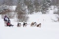 February 21, 2021, Saint Petersburg, Leningrad Region, Russia. Amateur dog sledding race, cute Siberian husky dogs pulling sleds