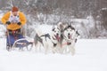 Siberian husky dogs pulling sleds with musher in the snow field,