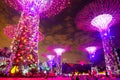2019 February 28, Singapore - The scene of the supertree night light show at Garden by the Bay