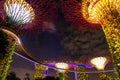 2019 February 28, Singapore - The scene of the supertree night light show at Garden by the Bay