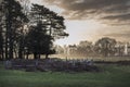 February sunrise at Bushy Park in Surrey