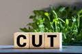 FED, Federal Reserve with interest rate cut concept, small cube block with alphabet building the word CUT Royalty Free Stock Photo