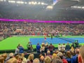 FEDCUP BNP Paribas, The World Cup of Tennis World Group II First Round game