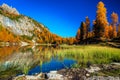 Federa lake with yellow larches in background, Dolomites, Italy